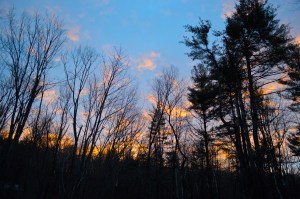 Spring Sunrise, photo by Roger Vincent Jasaitis, RVJart.com