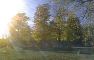 Photo by Roger Vincent Jasaitis, RVJart.com, Copyright 2004