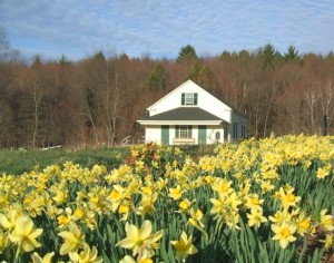 meetinghouse-web-300x236